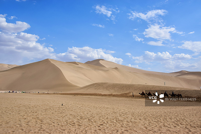 沙漠风光：行进的驼队图片素材