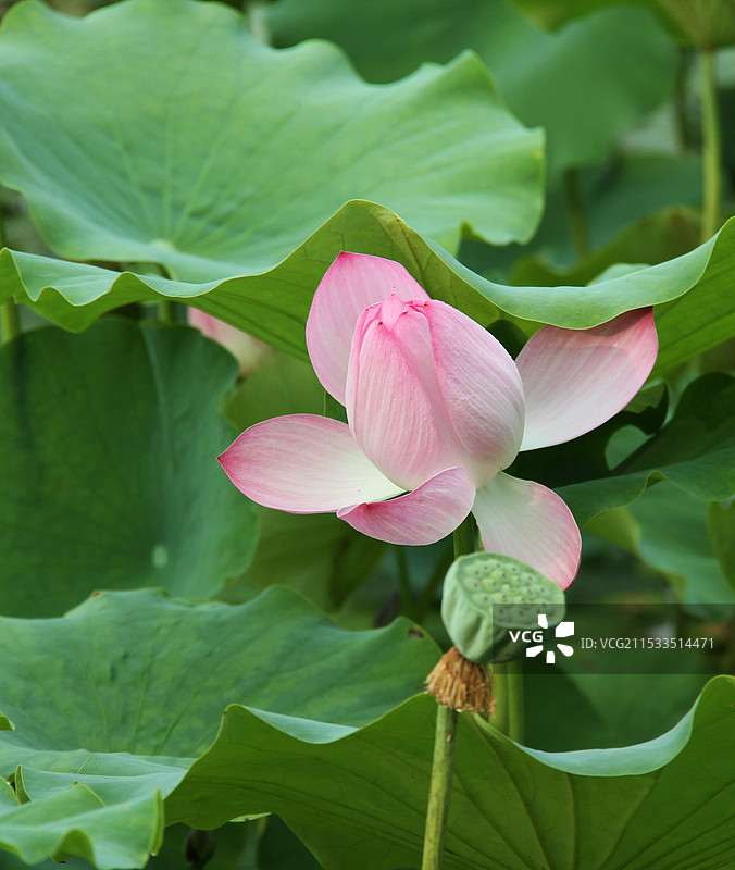 温榆河图片素材