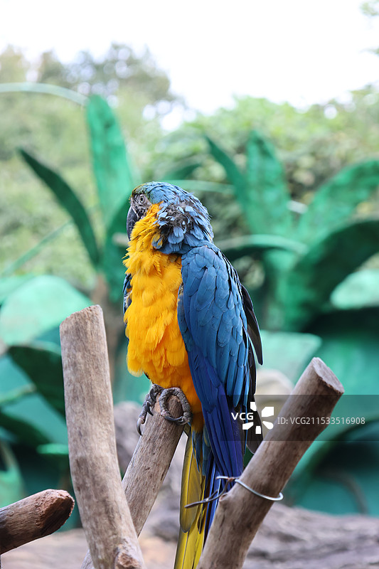 杭州野生动物世界图片素材