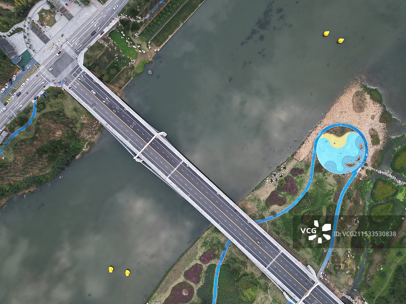 黄鸭河上的黄鸭图片素材