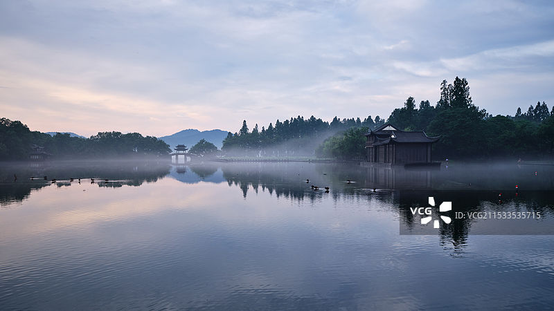 晨雾中的曲院风荷图片素材