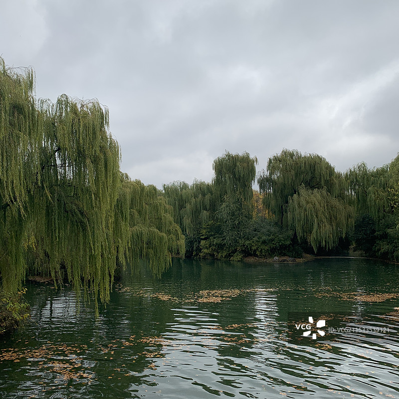 雨中的大明湖图片素材