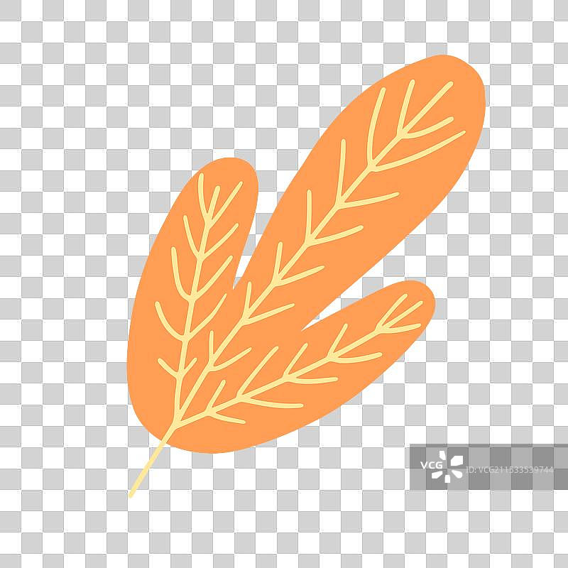 一片色彩鲜艳的橙色秋叶，带有细腻的叶脉图片素材