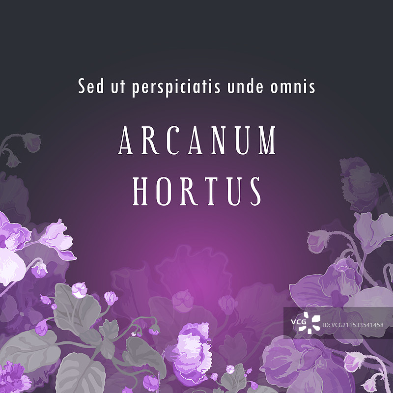 用于花卉或草本产品图片素材