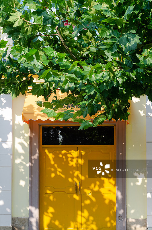 夏季门上斑驳的树影图片素材
