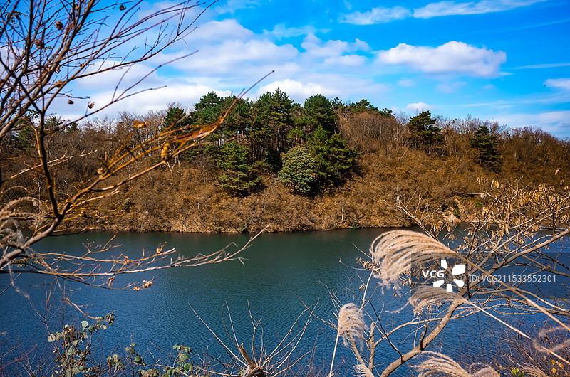 秋日山谷芦苇荡前景图片素材