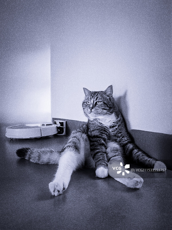 要不要摆烂｜手机摄影图片素材