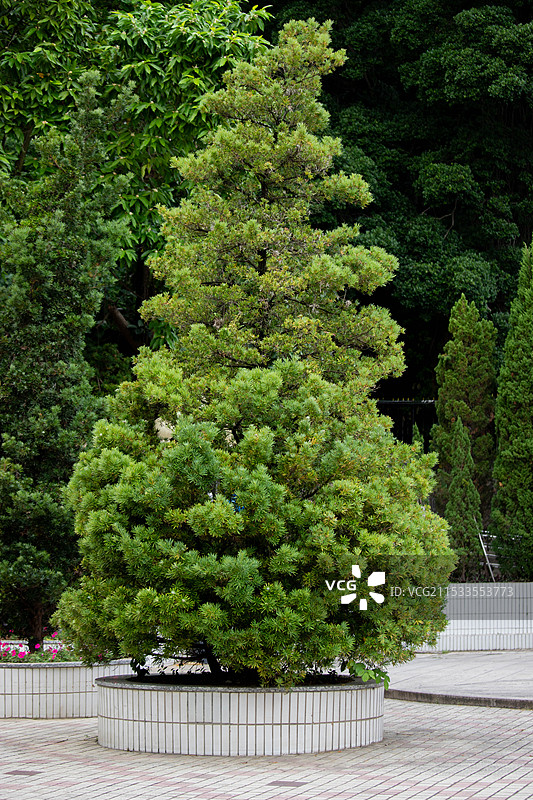 潮州西湖抗战阵亡将士纪念碑图片素材