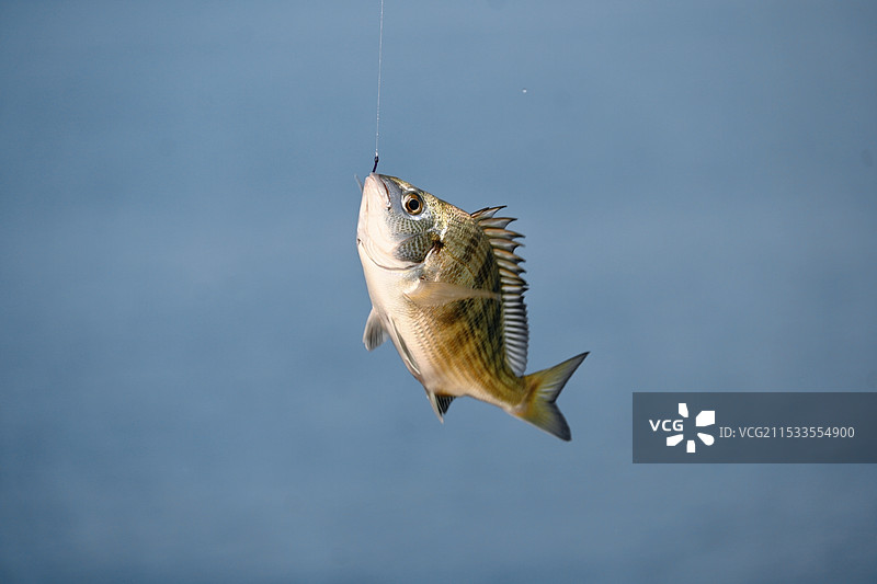 烟台海边记录图片素材