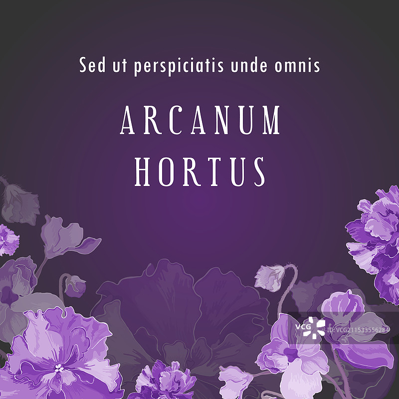 用于花卉或草本产品图片素材