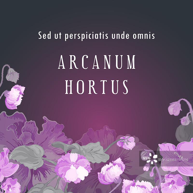 用于花卉或草本产品图片素材