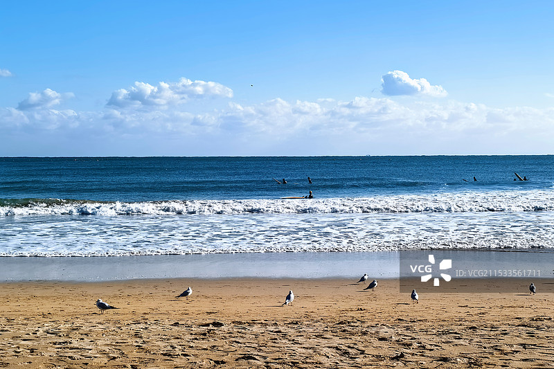 釜山海滩图片素材