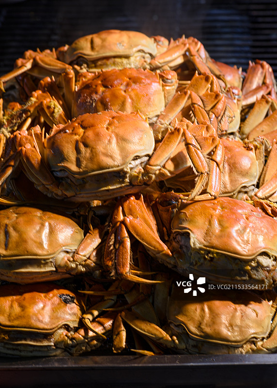 煮熟的河蟹图片素材