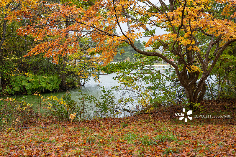 大沼国定公园秋色-1图片素材