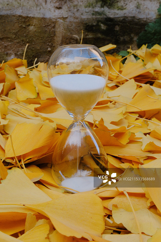 深秋的银杏叶与沙漏图片素材