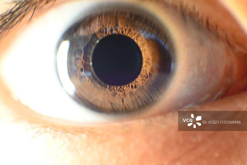 人眼瞳孔特写图片素材