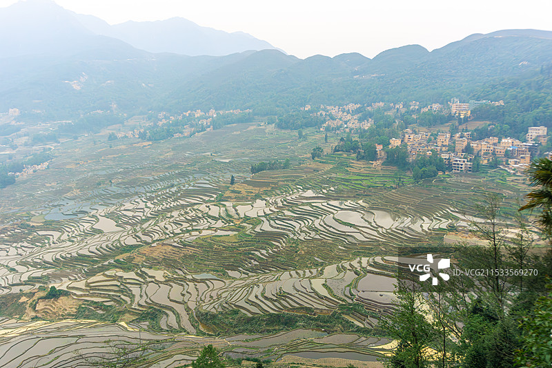 层层叠叠的元阳梯田景观图片素材