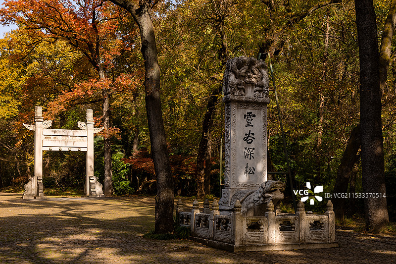灵谷深松图片素材