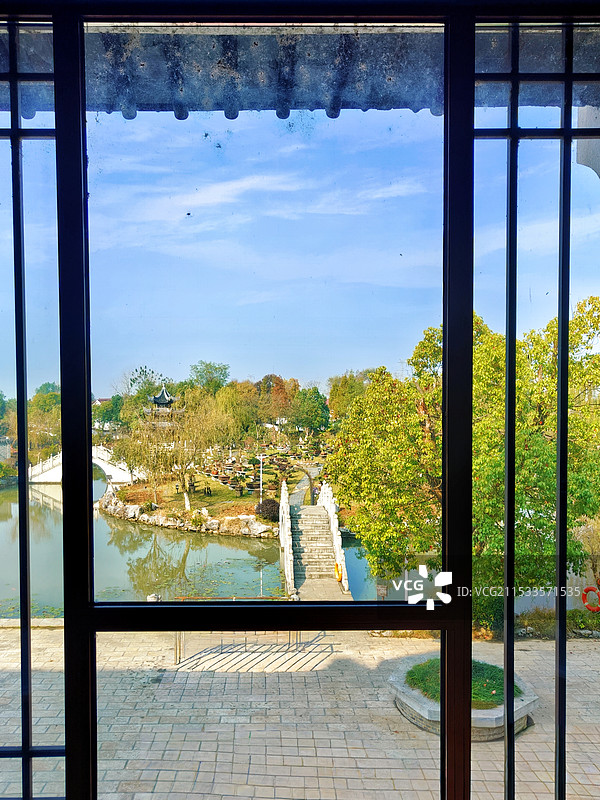 透过窗户看到的树图片素材