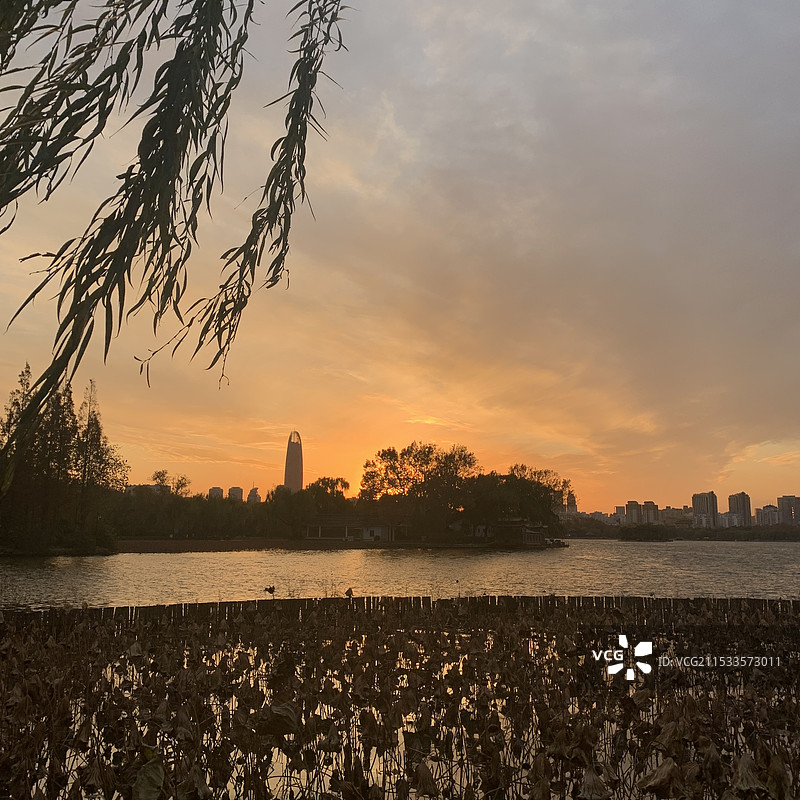 夕阳下的大明湖图片素材