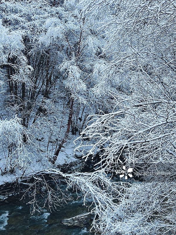 山中雾凇小溪图片素材