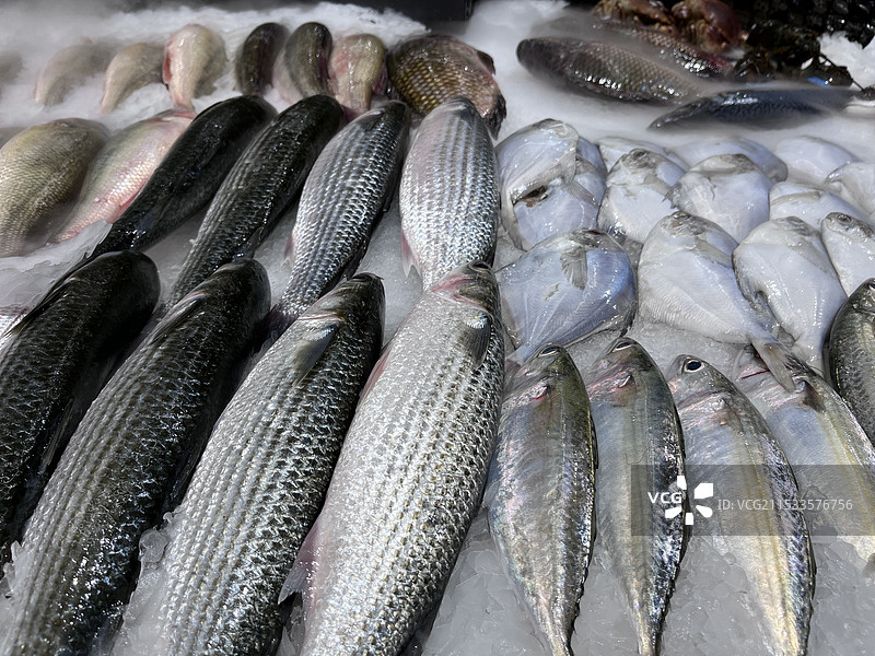 超市里的杂鱼 海鱼 海鲜 海产 食物图片素材