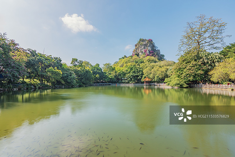 广西柳州立鱼峰风景区-鱼峰公园小龙潭图片素材