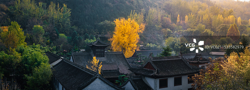 航拍古寺庙千年银杏秋景西安古观音禅寺图片素材