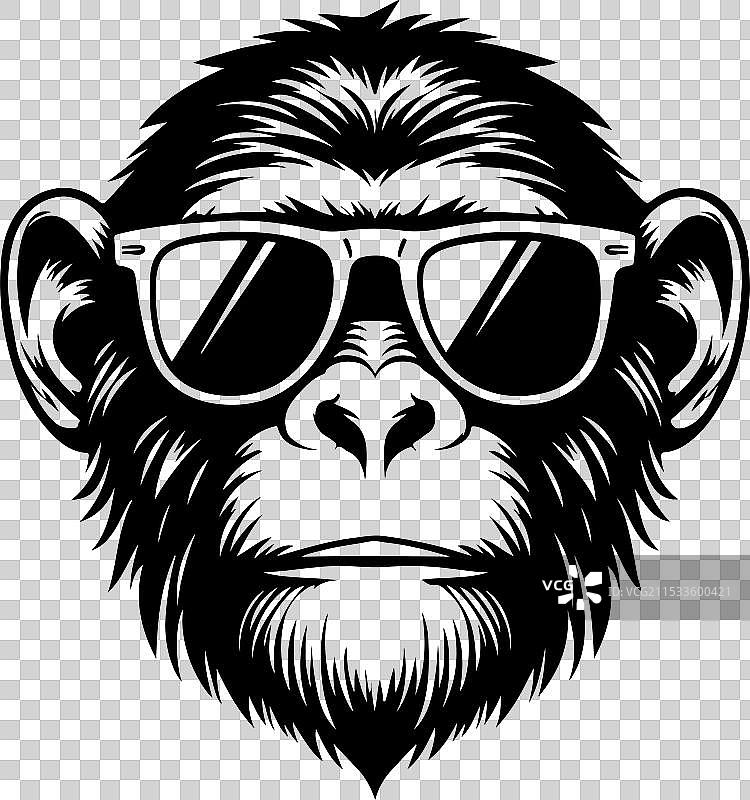 戴着太阳镜的猴子设计图片素材
