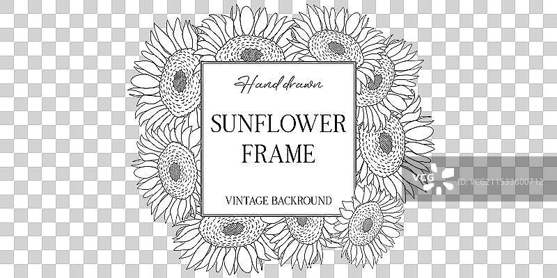 手绘的向日葵植物框架图片素材