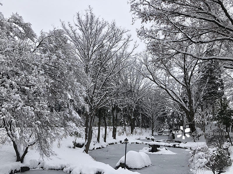 日本岩手县盛冈城遗迹冬季雪景色图片素材