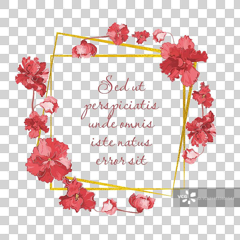 孤立的花环，手绘非洲紫罗兰图片素材