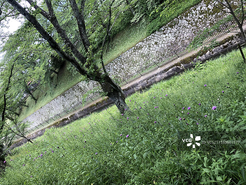 日本滋贺县三尾神社景色图片素材