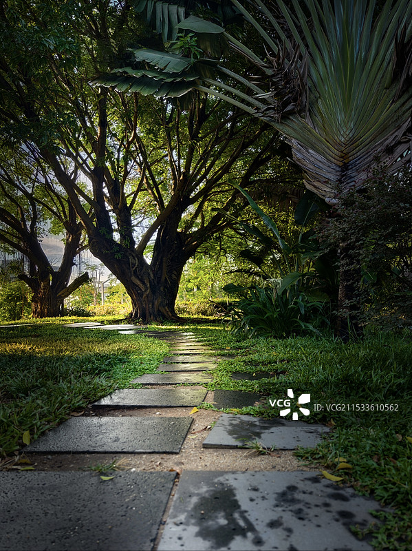 公园小径图片素材