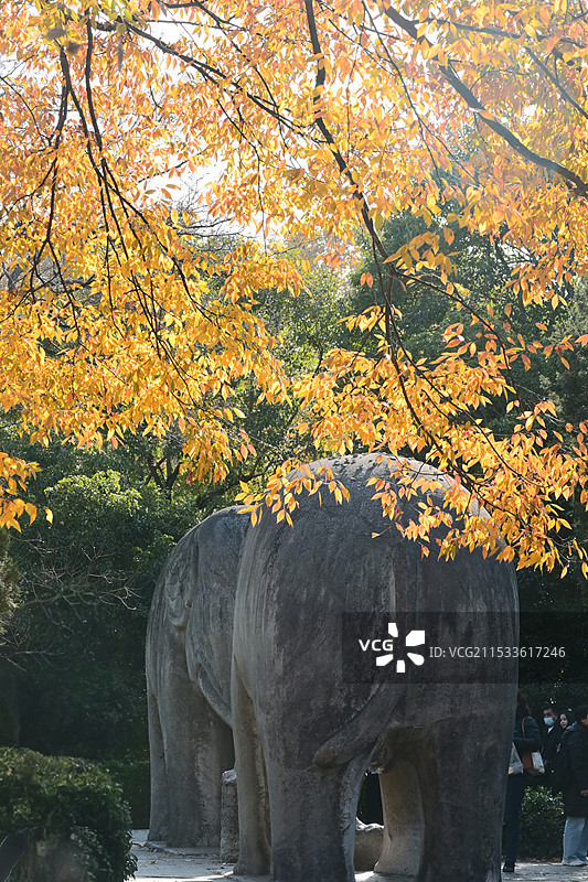 秋天的石象路图片素材