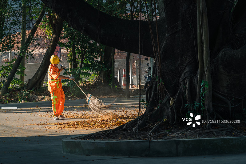 高山榕下的环卫图片素材