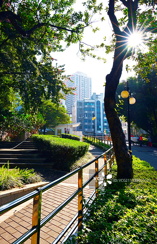 阳光下的城市绿洲图片素材