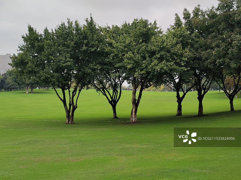 中央公园图片素材