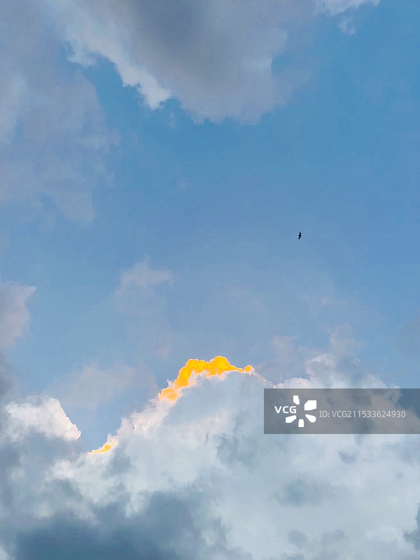 火烧云中自由的小鸟图片素材