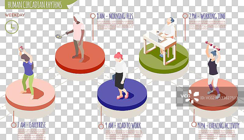 人类生物节律等距信息图表图片素材