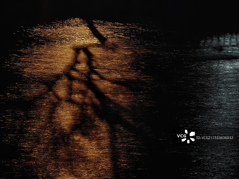 疏影横斜水清浅晚间，清风拂动，灯光倒映在水面上。树影婆娑倒映在灯光里。疏影横斜水清浅。图片素材