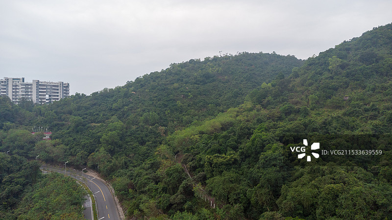航拍深圳：万科十七英里海边森林里弯曲的公路图片素材