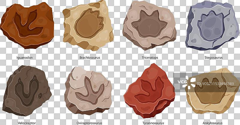 古代恐龙足迹考古化石套装图片素材