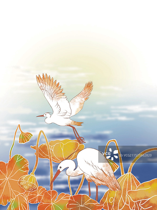 彩色插画 手绘 水边 白鹭 水塘 秋季 景色 勾线 鸟类 动物图片素材