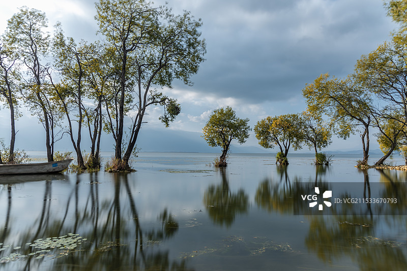 湖边的小树林图片素材