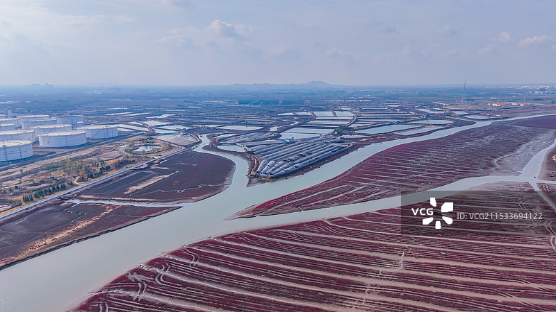 深秋的青岛洋河入海口，碱蓬草如烈焰般铺展，海滩映衬着碧波荡漾，水鸟在这里栖息，形成了这幅海岸画卷。图片素材