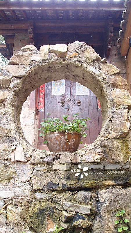 铜钱草和民居图片素材