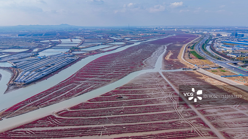 深秋的青岛洋河入海口，碱蓬草如烈焰般铺展，海滩映衬着碧波荡漾，水鸟在这里栖息，形成了这幅海岸画卷。图片素材
