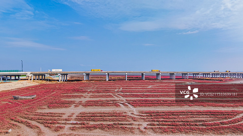 深秋的青岛洋河入海口，碱蓬草如烈焰般铺展，海滩映衬着碧波荡漾，水鸟在这里栖息，形成了这幅海岸画卷。图片素材