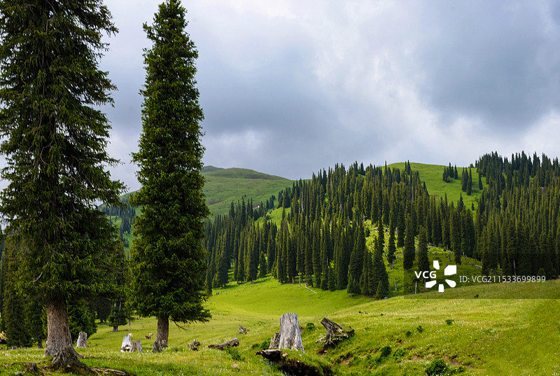 那拉提草原图片素材